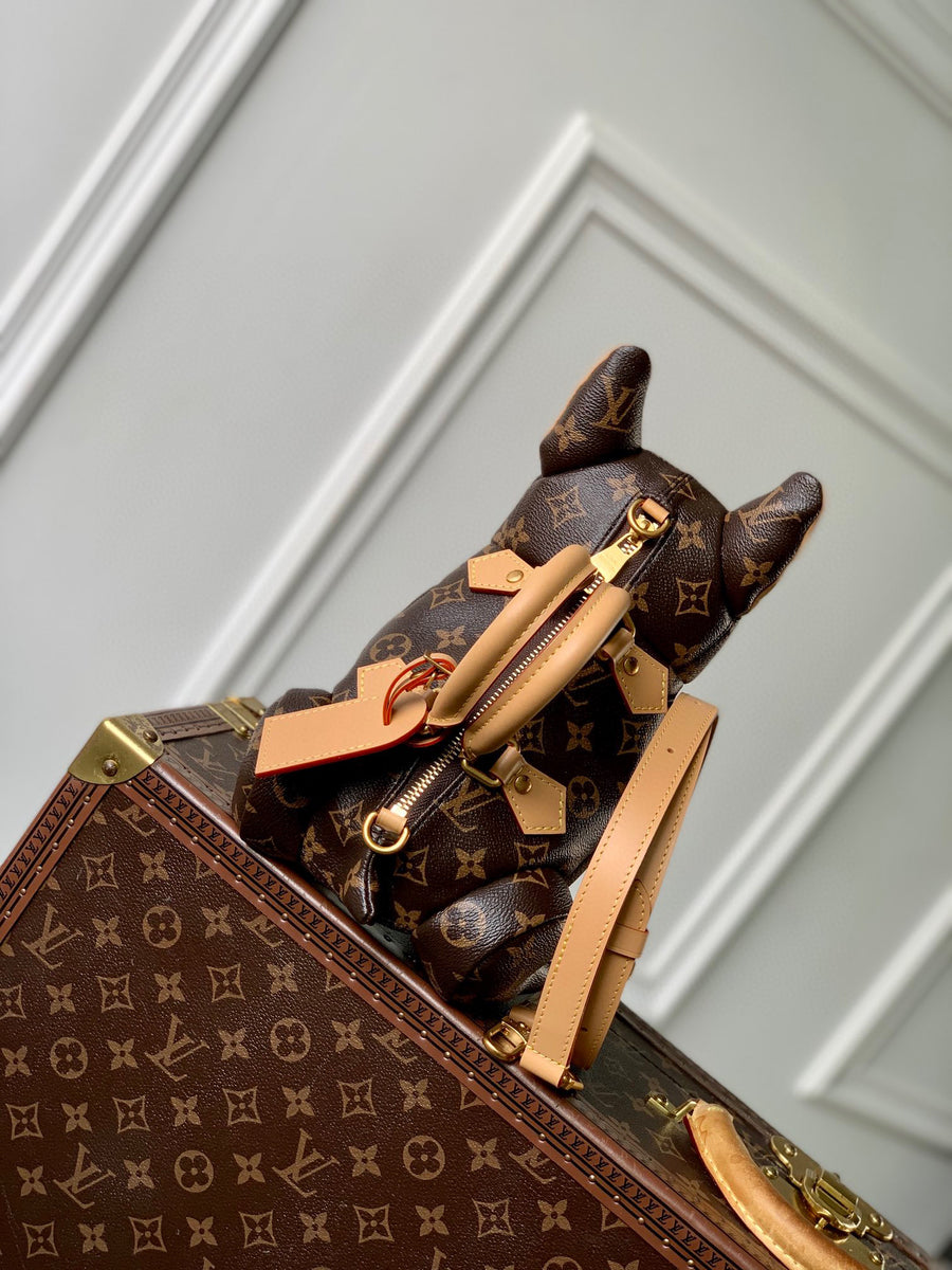 LV Bag
