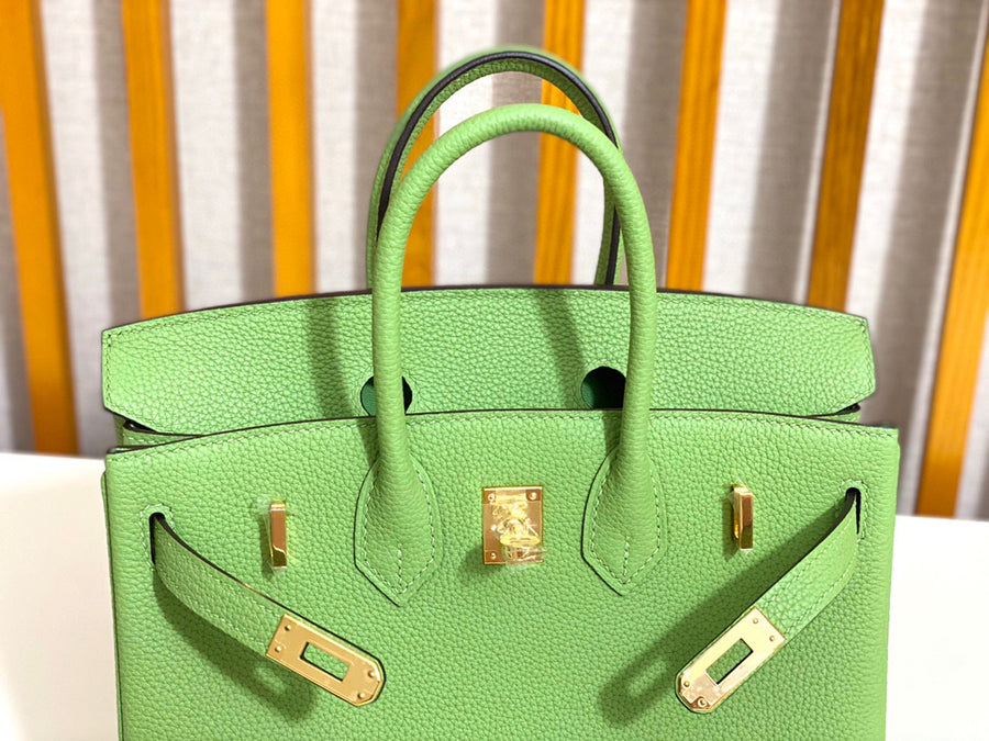 Hermes Birkin 25 Vert Criquet Togo