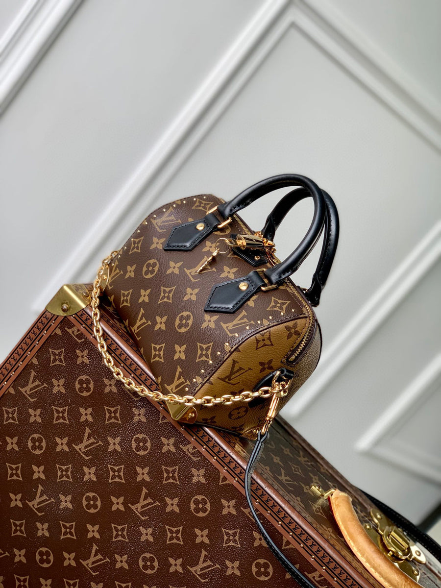 LV Bag