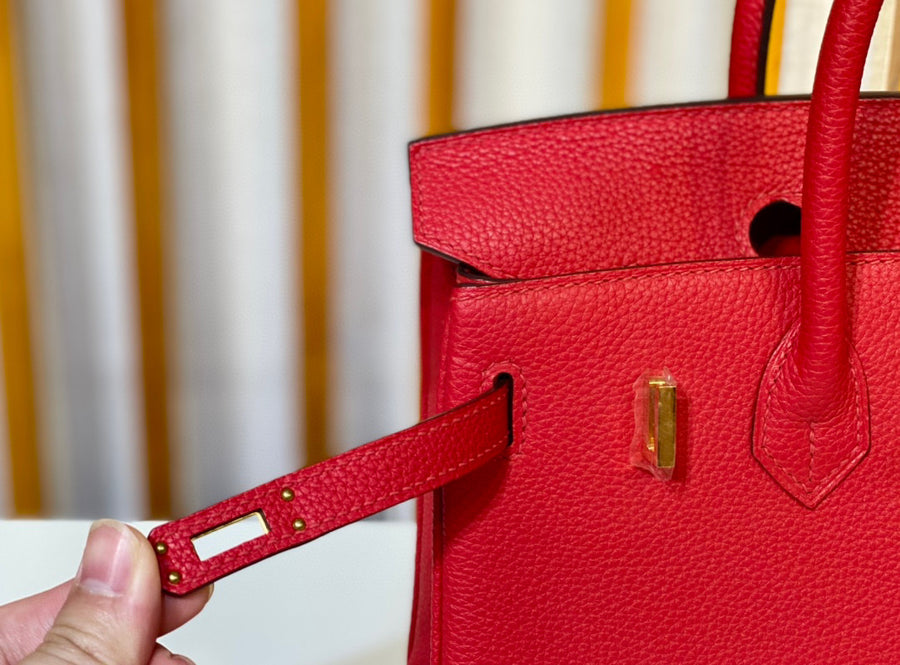 Hermes Birkin 25 Rouge de Coeur Togo