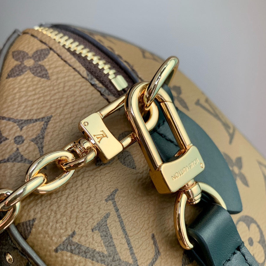 LV Bag