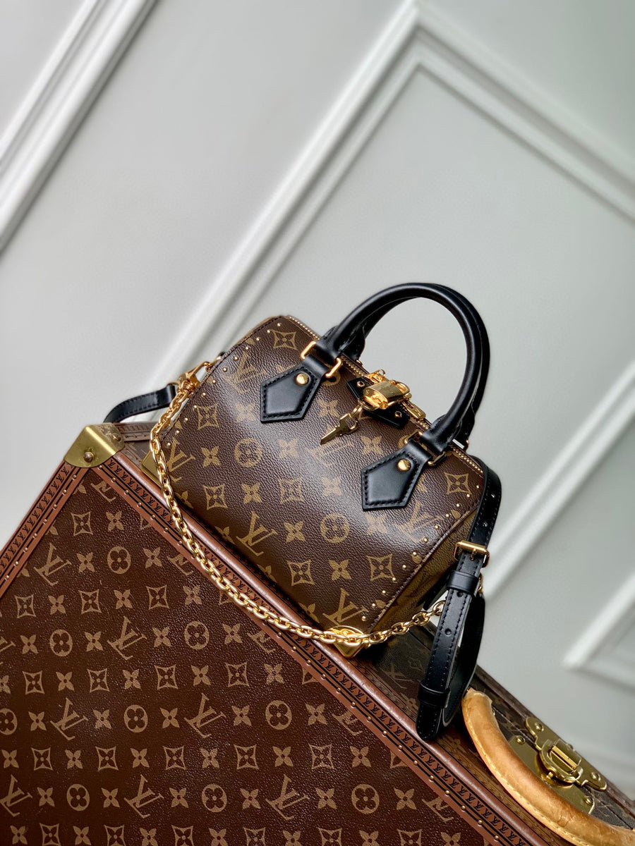 LV Bag