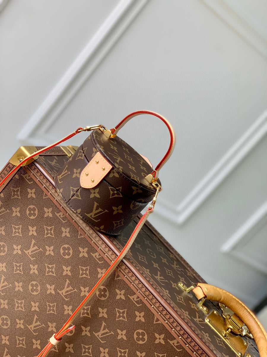 LV Bag