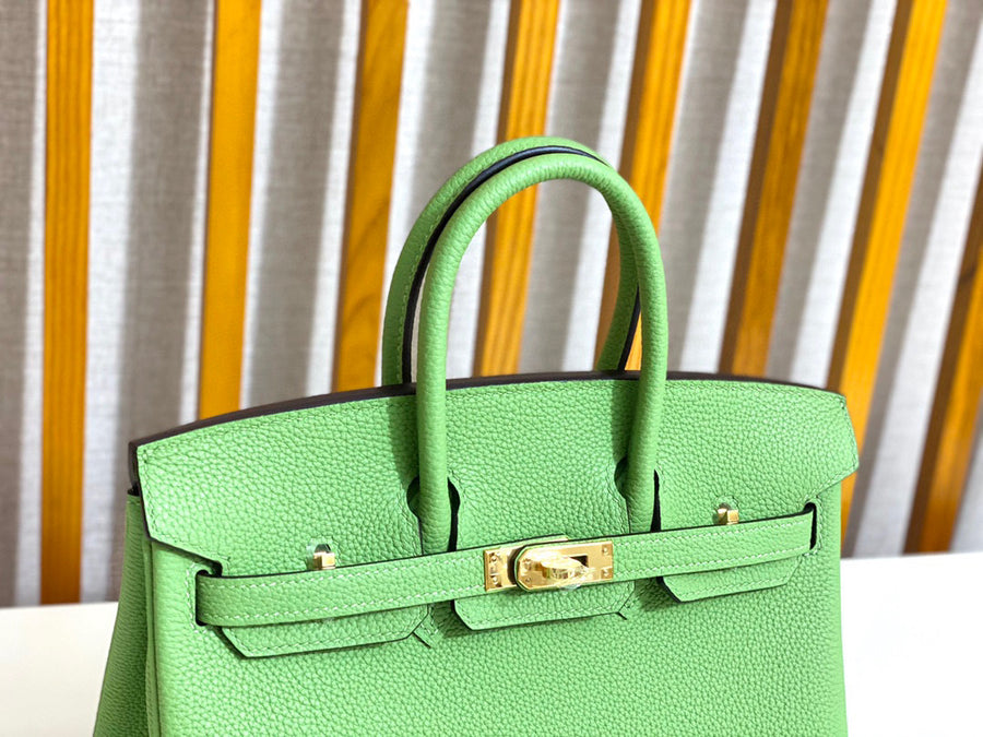 Hermes Birkin 25 Vert Criquet Togo