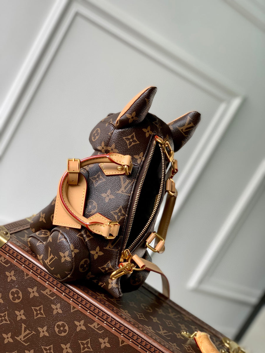 LV Bag