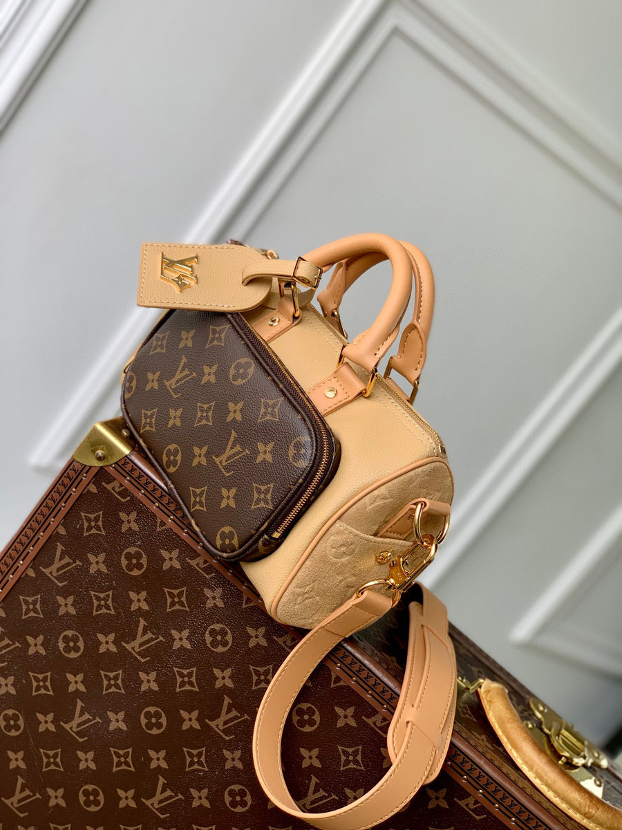 LV Bag