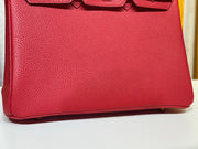 Hermes Birkin 25 Rouge de Coeur Togo