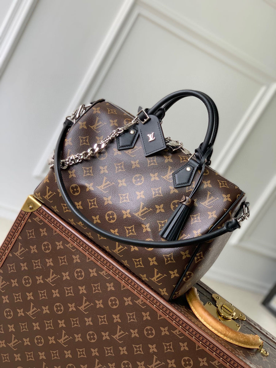 LV Bag