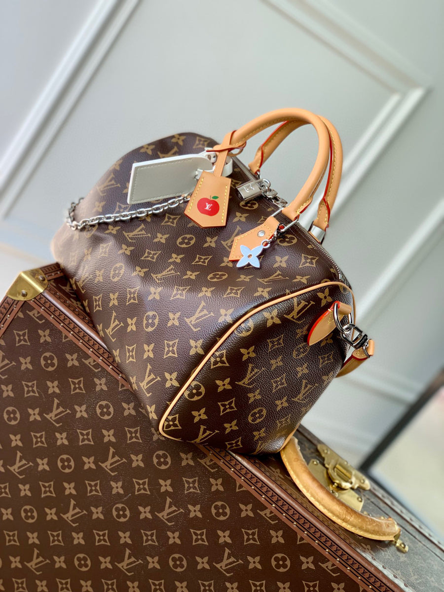 LV Bag