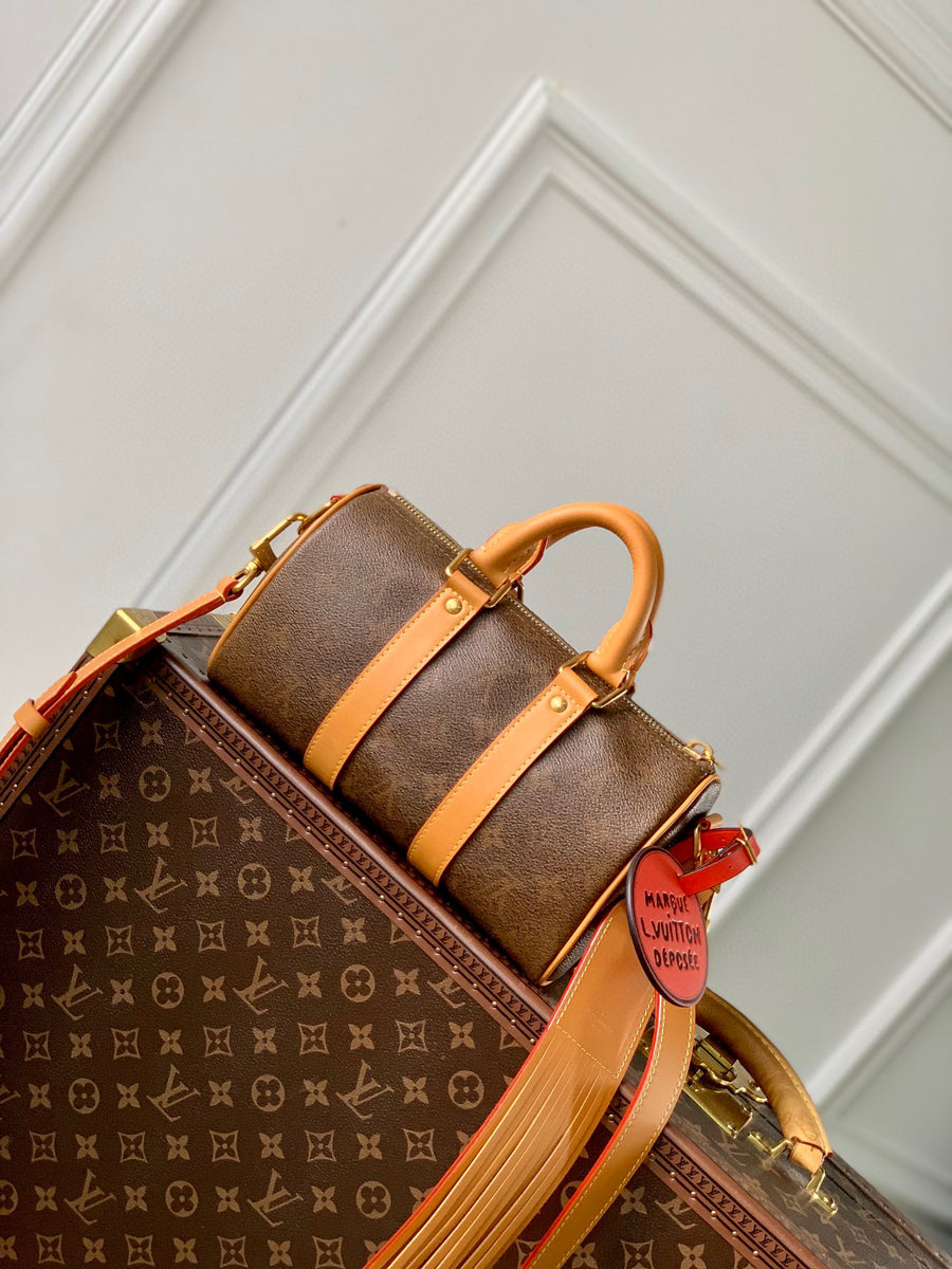 LV Bag