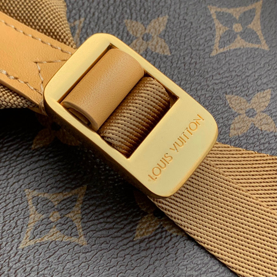 LV Bag