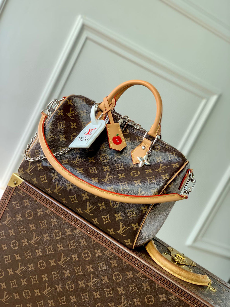 LV Bag