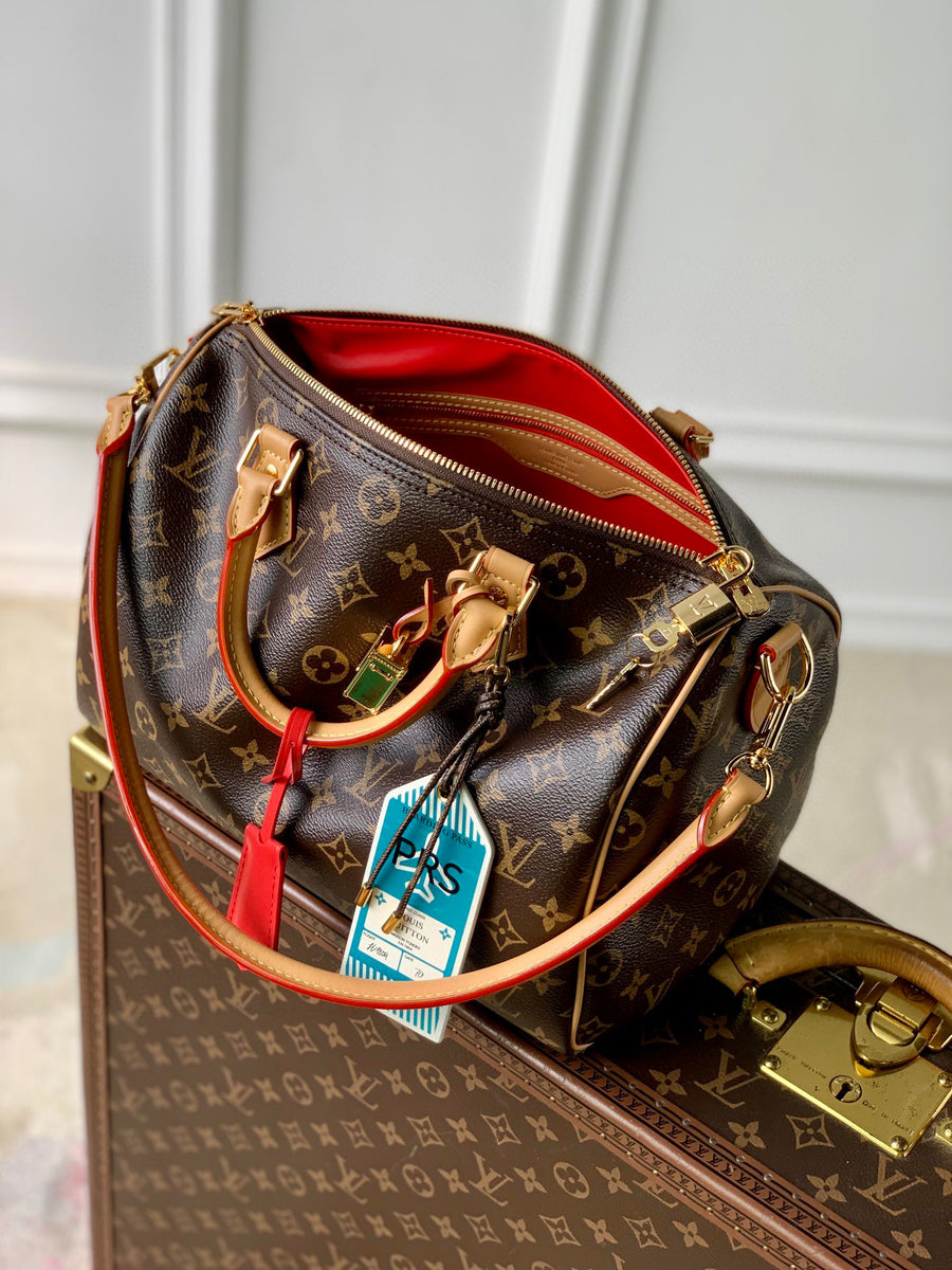 LV Bag