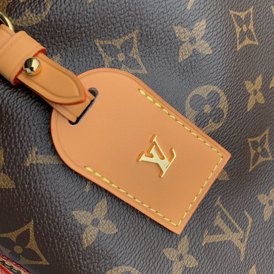 LV CARRY ALL Medium