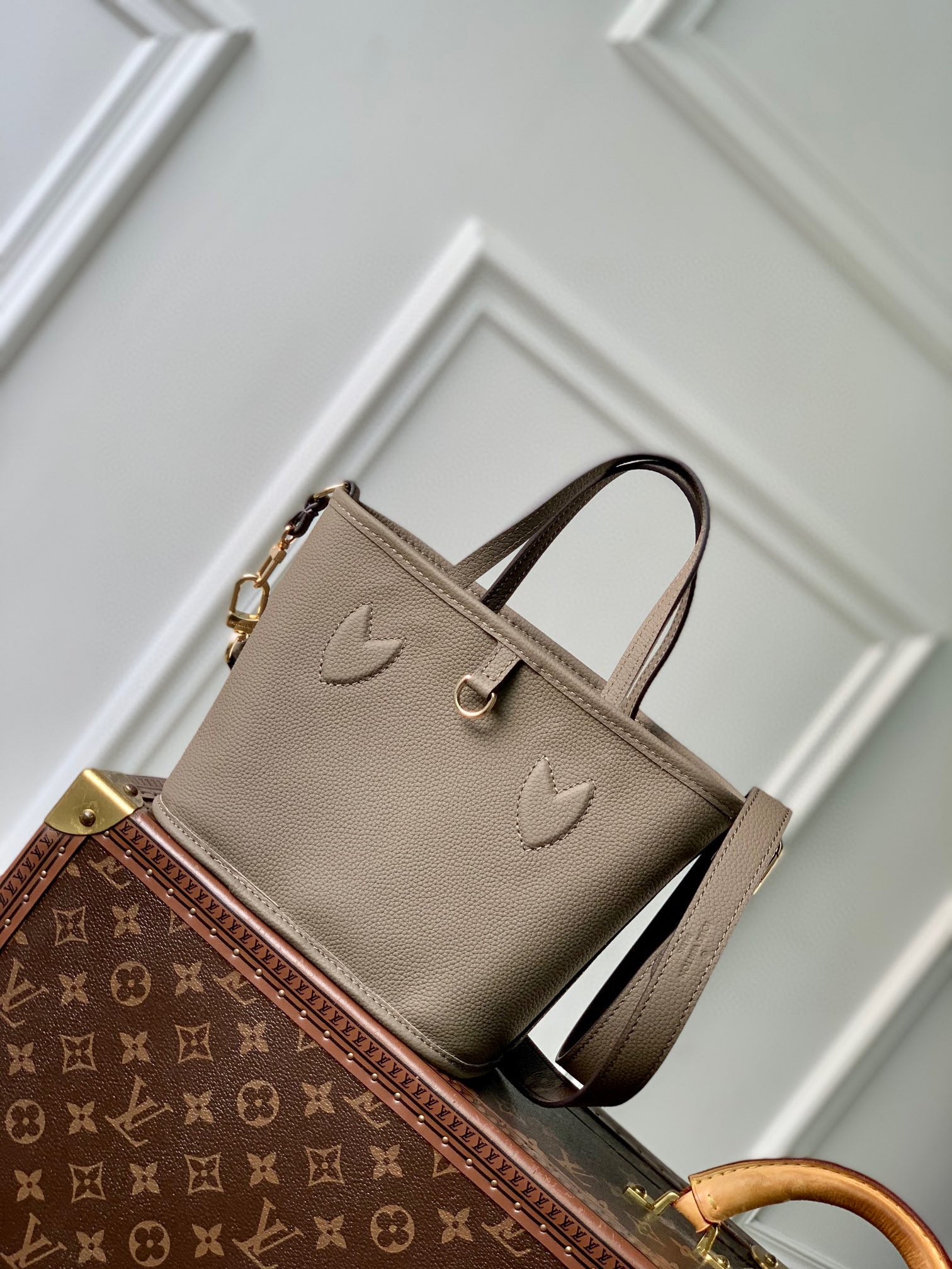 LV Bag