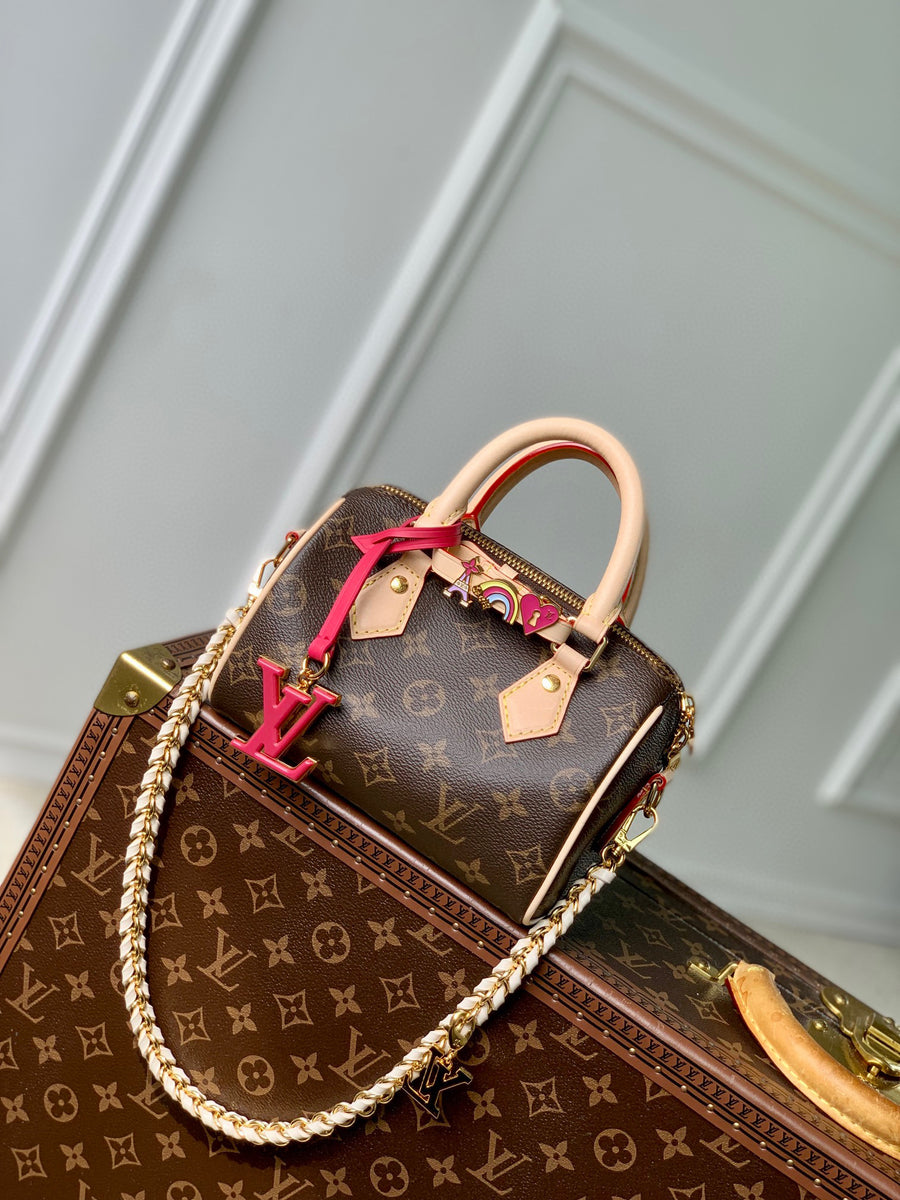 LV Bag