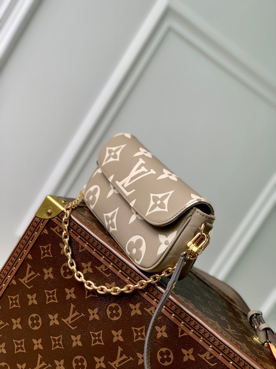 LV Bag