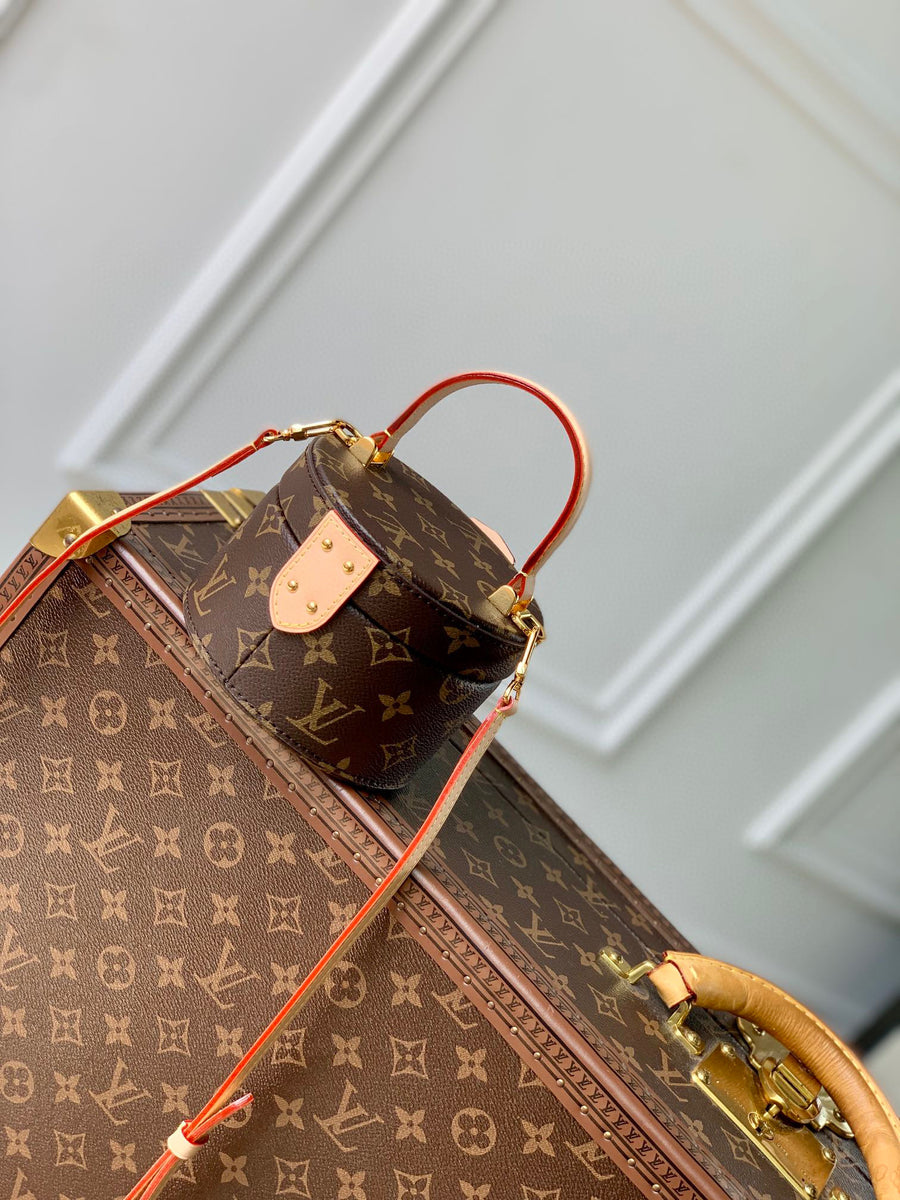 LV Bag