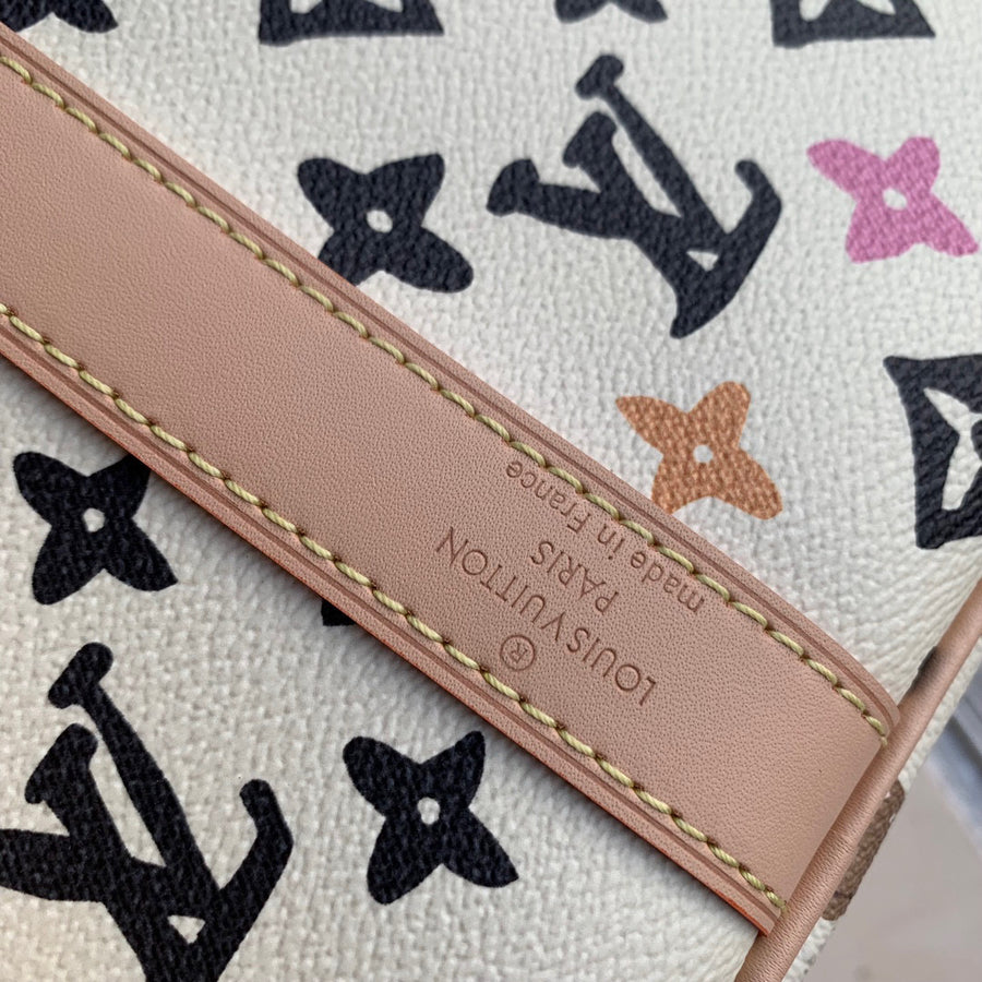 LV Bag