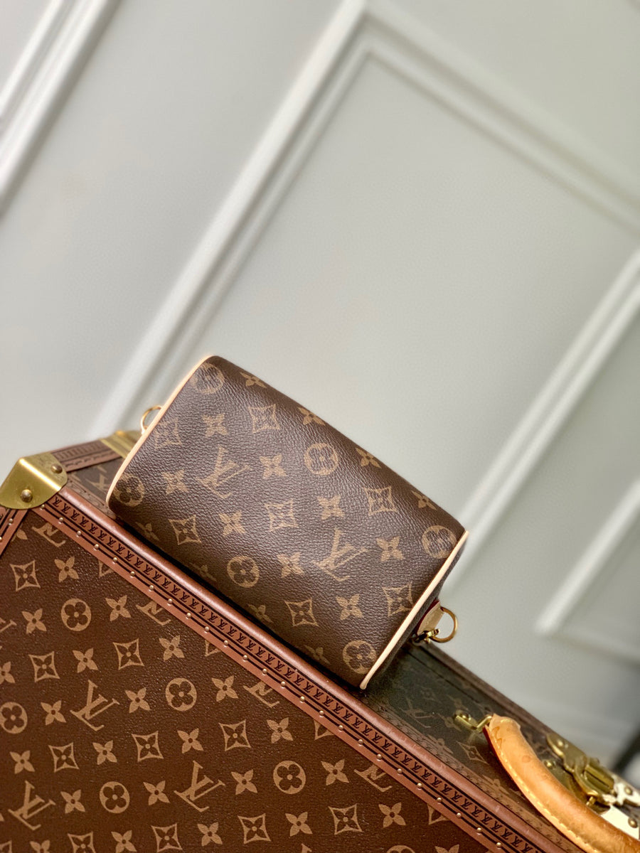 LV Bag