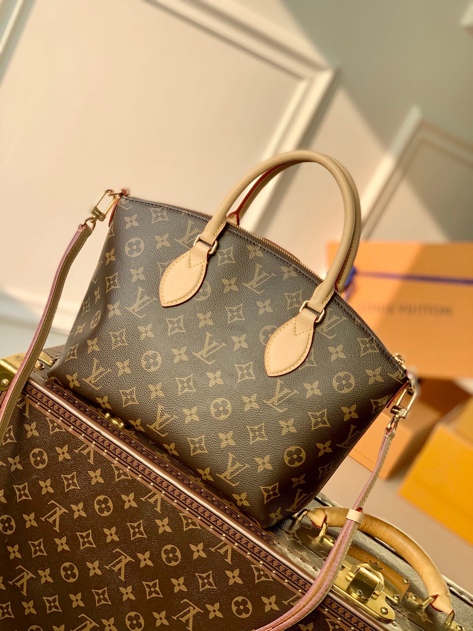 LV Bag