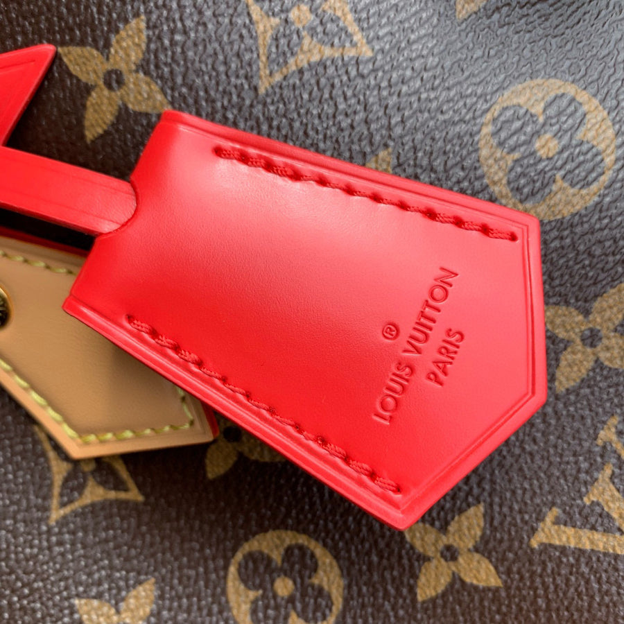 LV Bag