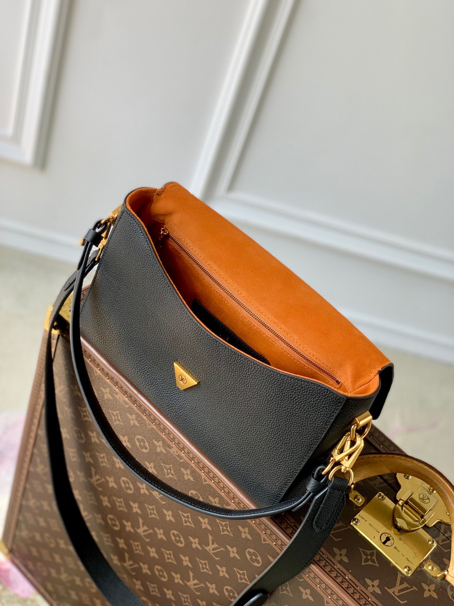 LV Bag