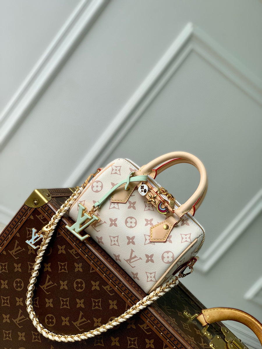 LV Bag