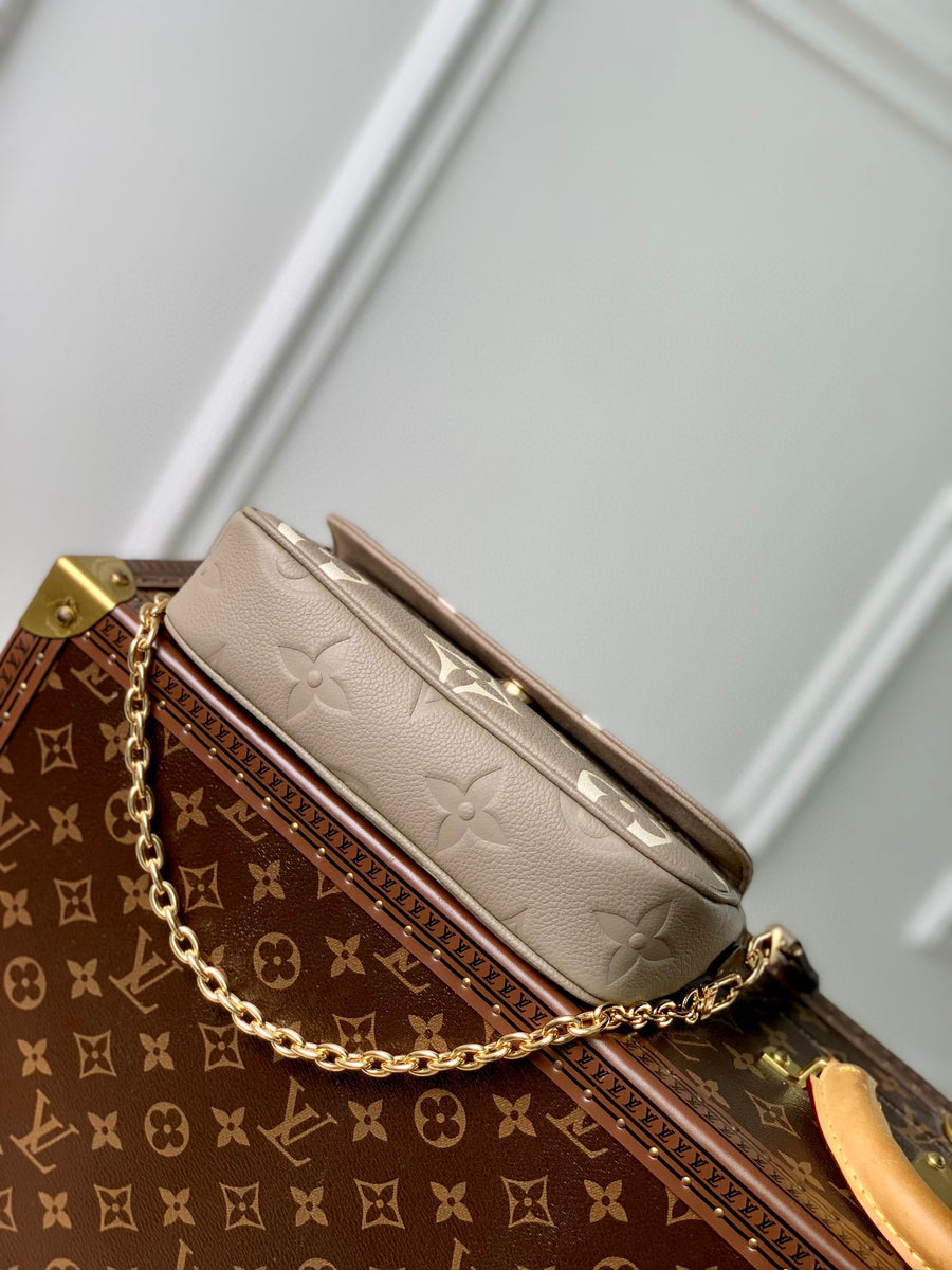 LV Bag