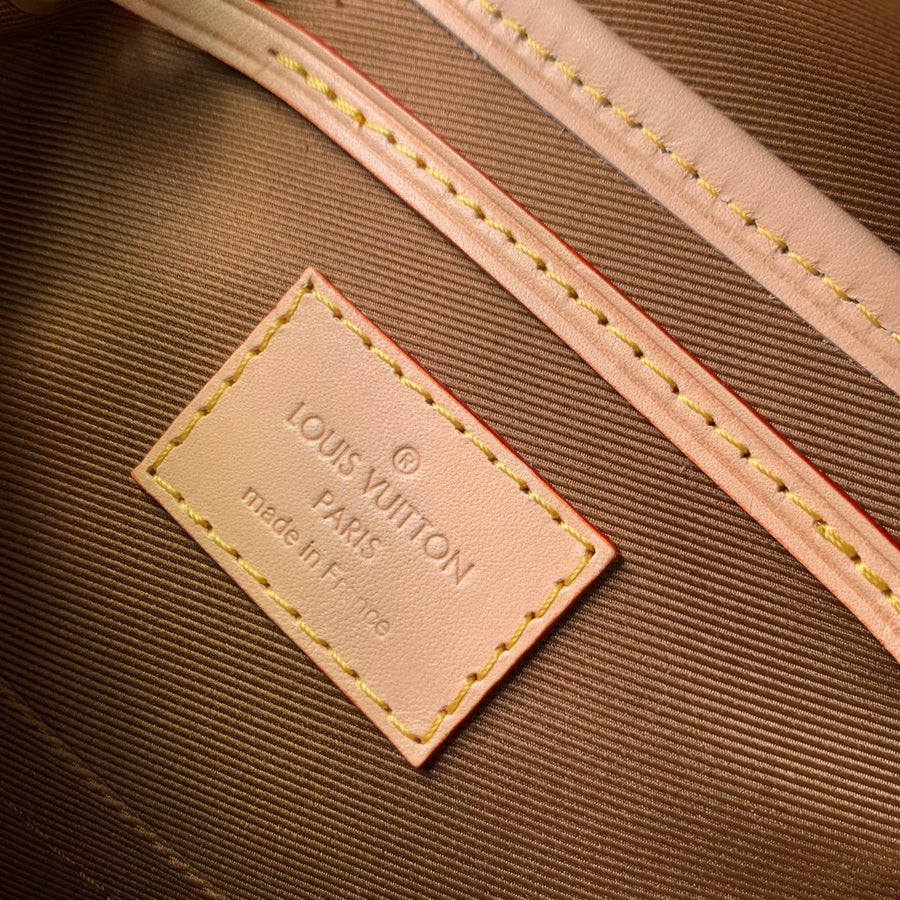 LV Bag