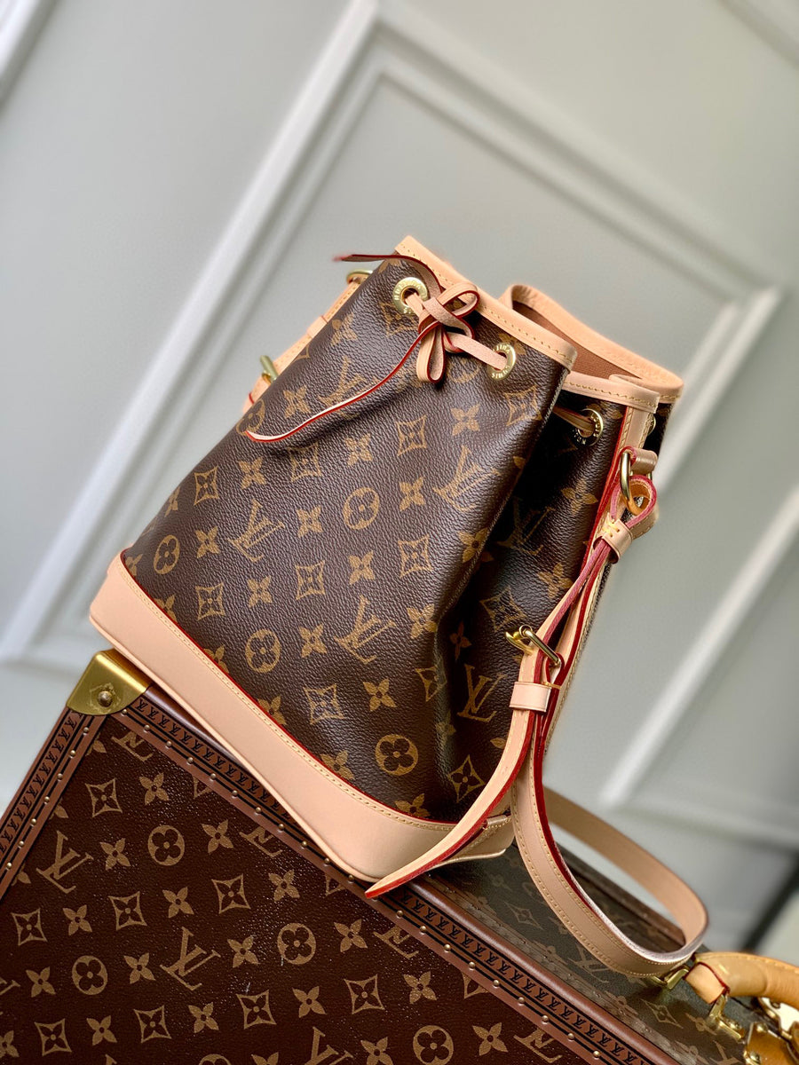 LV Bag