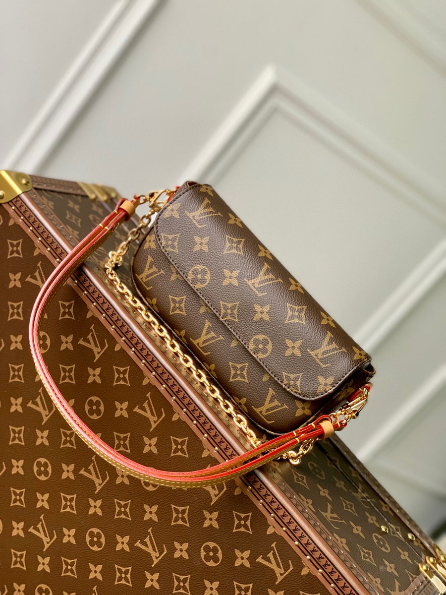 LV Bag