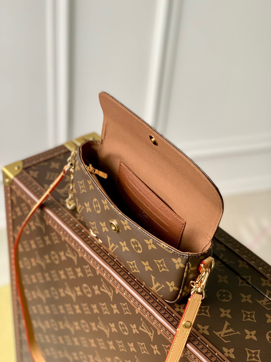 LV Bag